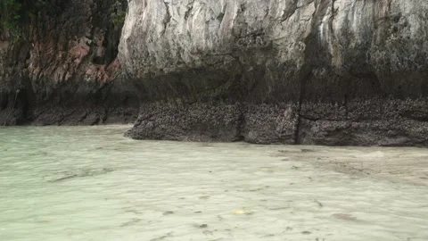 Small Monkey holding and sitting on reef rock mountain over water sea Stock Footage 153508863