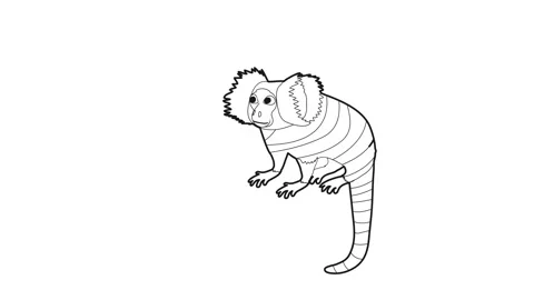 Small monkey icon animation 스톡 동영상 161036756