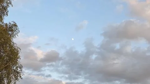 Small moon and white fluffy clouds in blue sky near green birch tree foliag.. Stock Photos