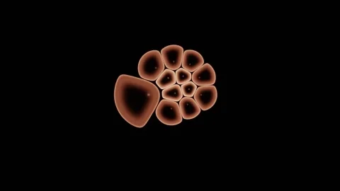 Small Motile Courier Threads Between Cells To A Recipient Stock Footage 344512504