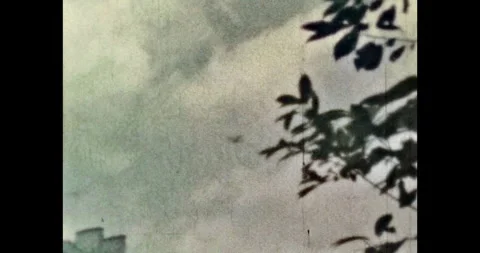 Small motor plane flies in the sky above the city. Bottom view, tree leaves Vídeo Stock 254851487