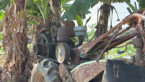 A small motorized soil tiller with rotary blades stands near banana plants Vídeos de archivo 332723960