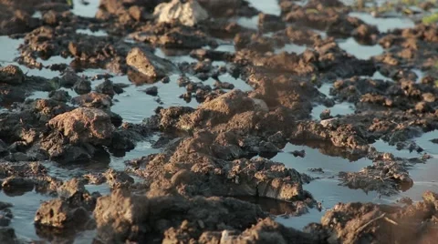 Washed In Earth Stock Footage ~ Royalty Free Stock Videos | Pond5