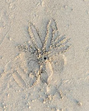 A small mound of sand with a few small holes in it Stock-Fotos