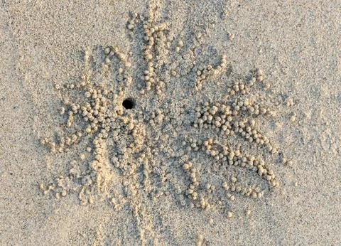A small mound of sand with a few small holes in it Stock-Fotos