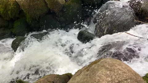A small mount forest waterfall between mossy rocks. Video stock 200121158