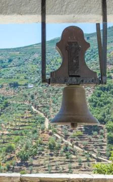 Small mountain bell Stock Photos