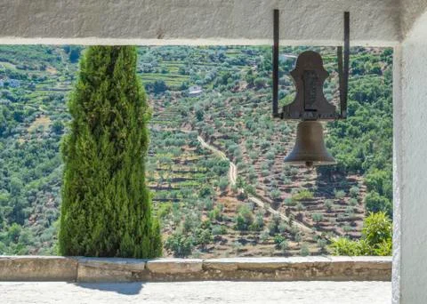 Small mountain bell Stock Photos