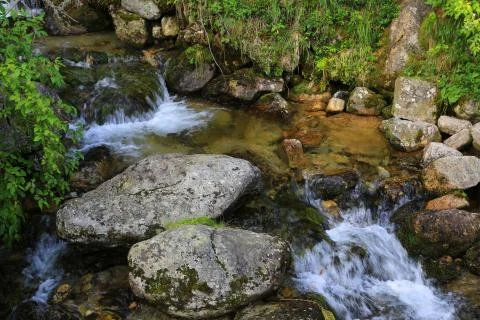 Small mountain brook 스톡 사진