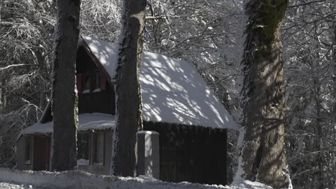 Small mountain cabin in the forest in winter Stock Footage 295290530