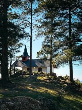 Small mountain chapel surrounded by pine trees Stock Photos