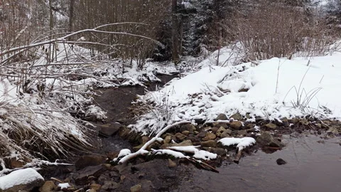 Small Mountain Creek Flowing Through Snow Covered Winter Forest Stock Footage 336495763
