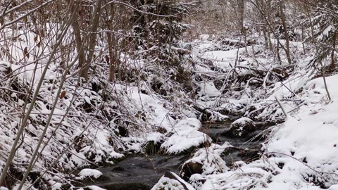 Small Mountain Creek Flowing Through Snow Covered Winter Forest Stock Footage 336495777