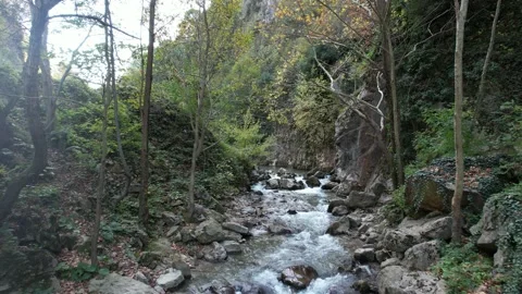 Small mountain creek Stock Footage 223647901