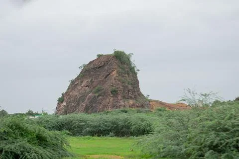 A small mountain in the forest Stock Photos