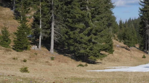 Small mountain hut in a sunny spring day Stock-Footage 49895561