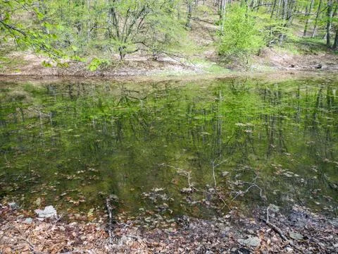 Small mountain lake in the forest at spring. Reflection of trees in the water 写真素材