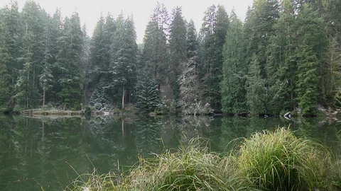 Small mountain lake in winter the Olympic Peninsula Washington State Stock Footage 70758704