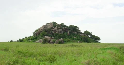Small mountain made of large rocks centers a wide field in Tanzania. Video stock 261791975