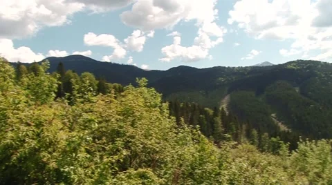 Small mountain panorama of the forest Stock Footage 69009076