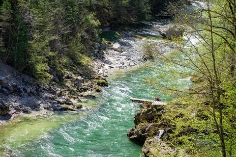 A small mountain river among a dense forest among the Austrian Alps Stock Photos