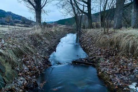 Small mountain river among the vegetation Stock Photos
