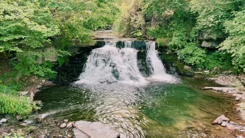 A small mountain river with a beautiful waterfall. Bulgaria. Stock Footage 290170461