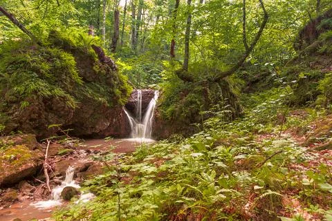 A small mountain river at the bottom of a deep gorge, a small waterfall Stock Photos
