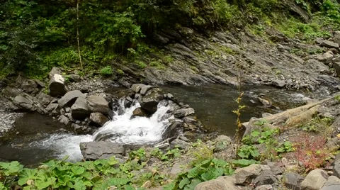 Small mountain river with cascades Stock Footage 67437019