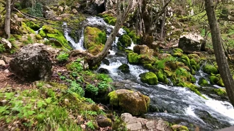Small mountain river with cascades Stock Footage 194561156