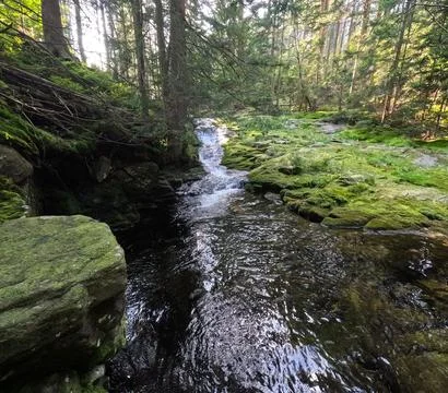 A small mountain river with a cascading waterfall in the Karkonosze Mountai.. Stock Photos