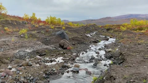 Small mountain river with clean water Video stock 140085943