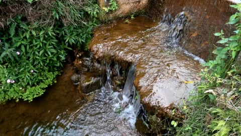 Small Mountain River With Clear Water. Water Flowing Over Rocks Stock Footage 258828735