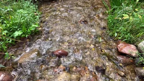 Small mountain river with cry stal claer water. Clear steam running through Stock Footage 252216002