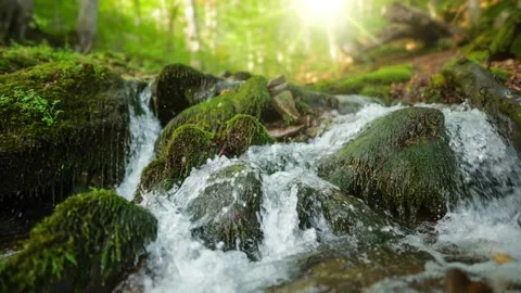 Small mountain river with crystal clear water. Water flows over the stones Stock Footage 138801809
