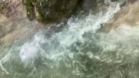 Small mountain river with crystal clear water. Water flows over the stones Stock Footage 208927399