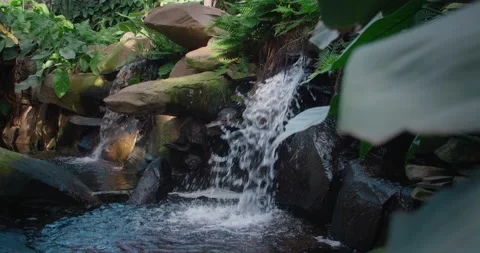 Small mountain river with crystal clear water. Water flows over the stones in Stock Footage 238486304