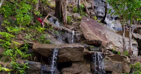 Small mountain river with crystal clear water. Water flows over the stones Stock Footage 245619775