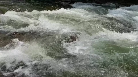 Small mountain river with crystal clear water. Water flows over the stones Stock Footage 251999498