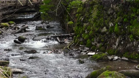 Small mountain river with crystal clear water. Water flows over the stones Stock Footage 265255239