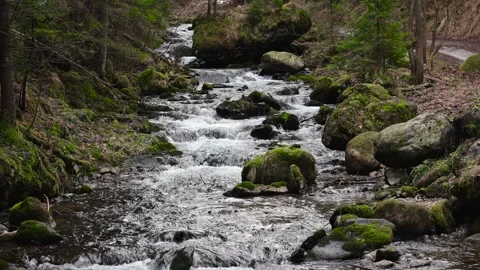 Small mountain river with crystal clear water. Water flows over the stones Stock Footage 265255451