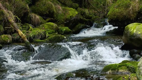 Small mountain river with crystal clear water. Water flows over the stones Stock Footage 265255701