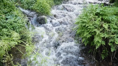 Small mountain river with crystal clear water. Stockbeeldmateriaal 285543767