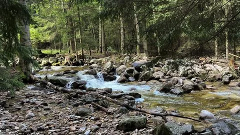 A small mountain river with a flow of water in the Polish mountains. Easter.. Stock Photos