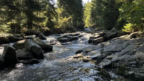 A small mountain river with a flow of water in the Polish mountains. Easter.. Stock Photos