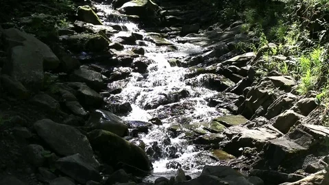 Small mountain river flowing in a forest at sunny summer day. Video stock 87939644
