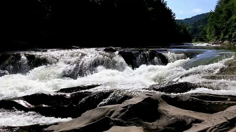 Small mountain river flowing in a forest at sunny summer day. Stock Footage 87939671
