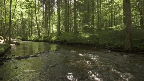 Small mountain river flowing through forest in a sunny summer day Stock Footage 159981789