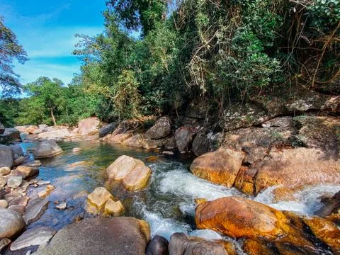 Small mountain river flows among large stones in mountainous areas, forest Stock Photos