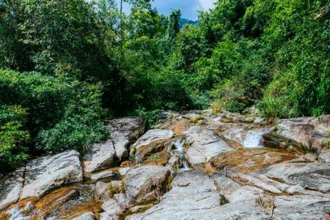 A small mountain river flows among large stones in mountainous areas forest Stock Photos